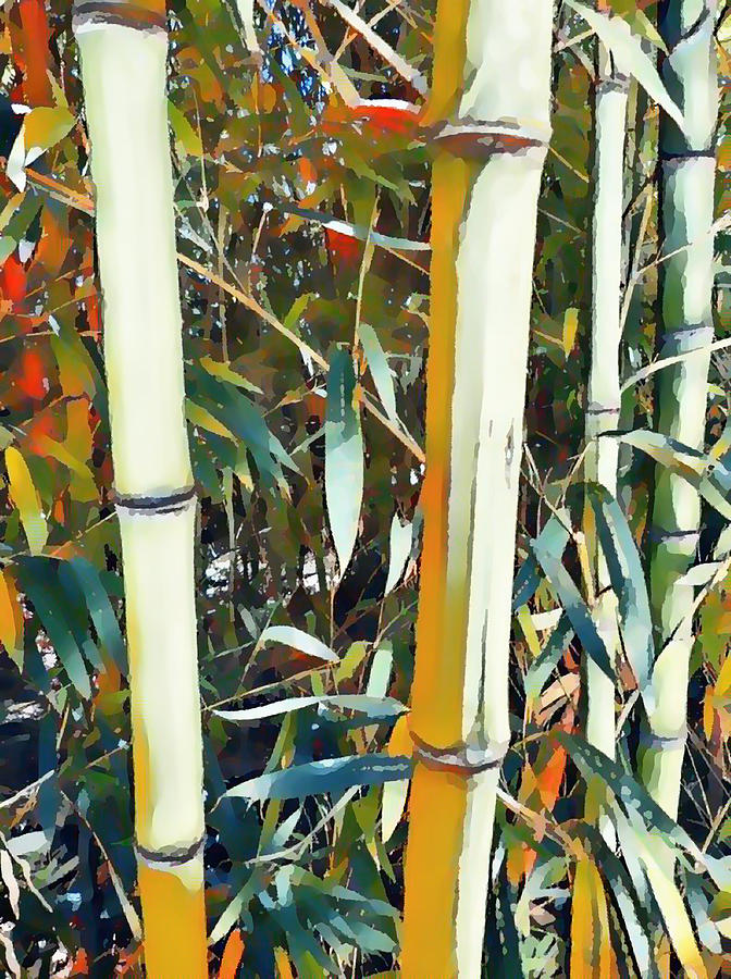 Bamboo trees in park Painting by Jeelan Clark