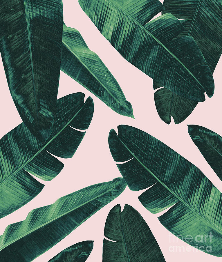 Nature Mixed Media - Banana Leaves - Cali Vibes #1 #tropical #decor #art by Anitas and Bellas Art