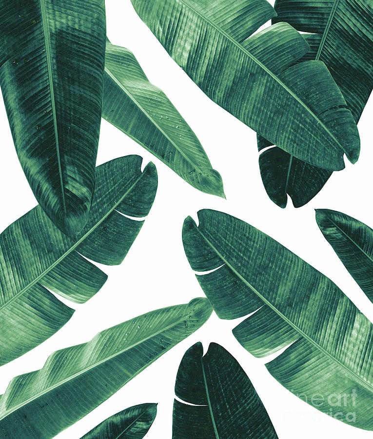 Nature Mixed Media - Banana Leaves - Cali Vibes #2 #tropical #decor #art  by Anitas and Bellas Art