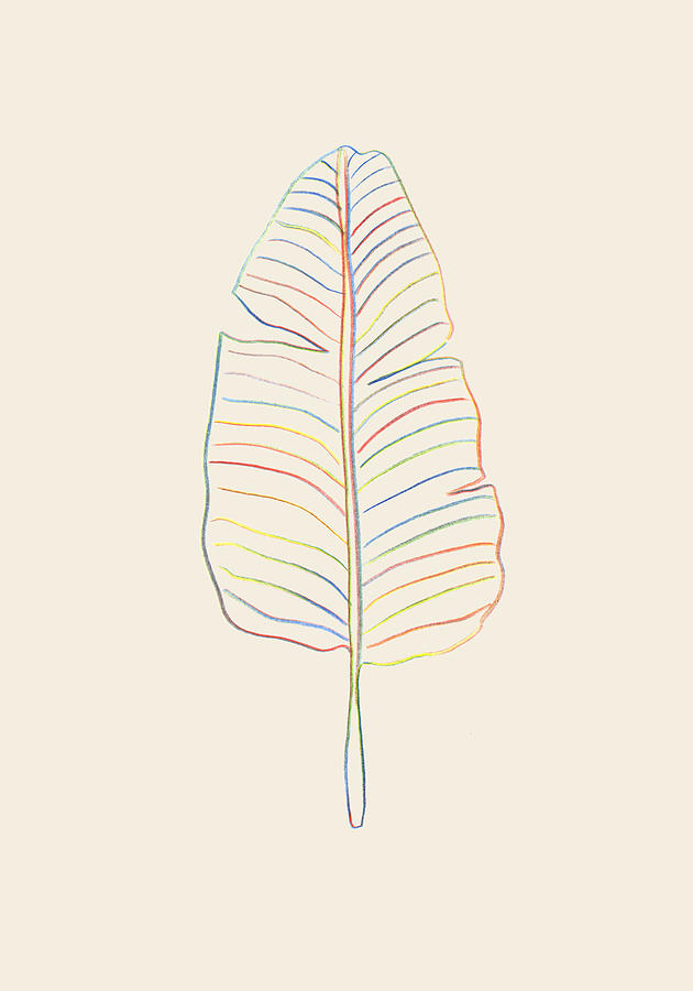 Leaf Photograph - Banana Rainbow Leaf by 1x Studio