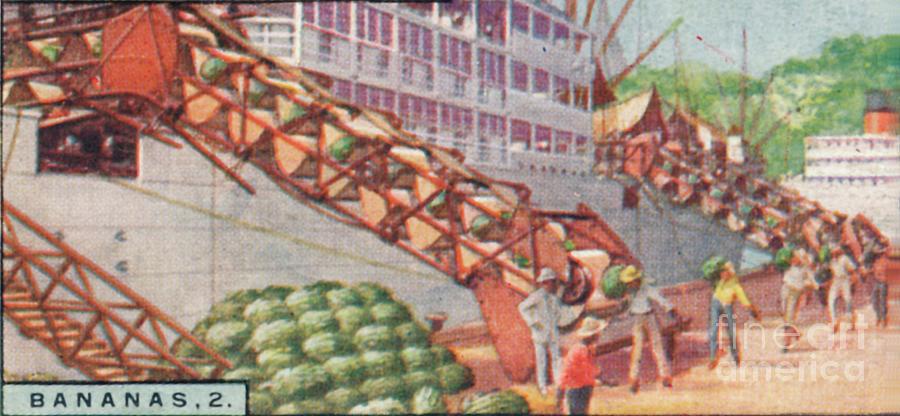 Transportation Drawing - Bananas 2 - Loading A Steamship by Print Collector