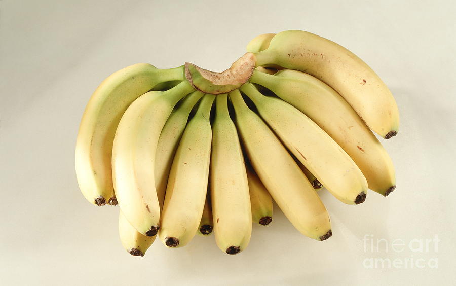 Bananas Photograph by Science Photo Library