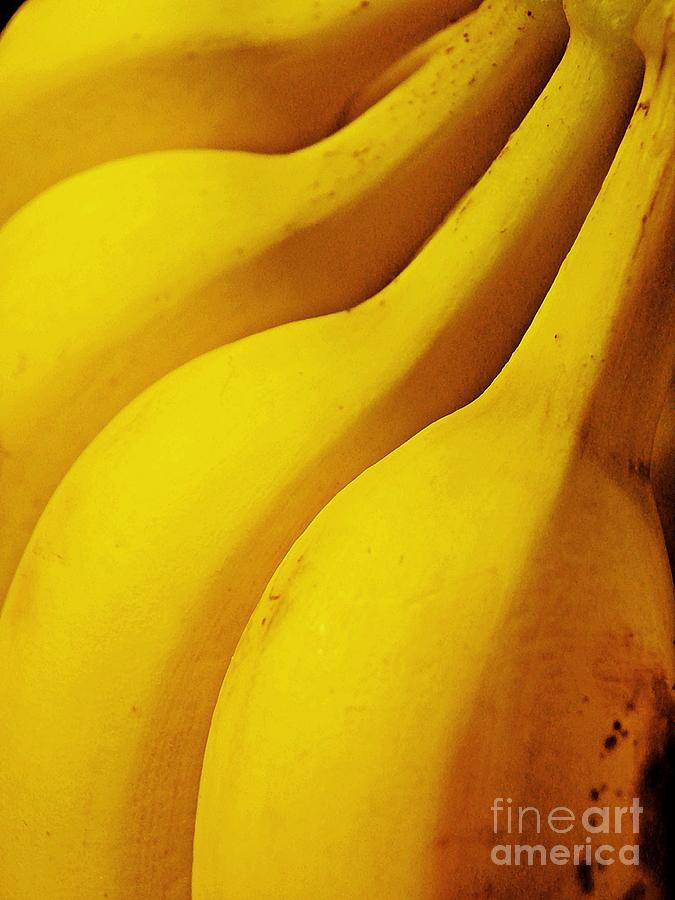Banana Photograph - Bananas by Sarah Loft