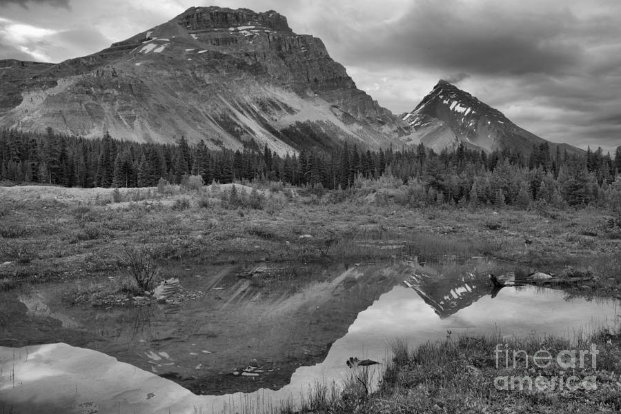 Banff Pond Sunset Reflections Black And White by Adam Jewell Banff Pond Sunset Reflections Black And White by Adam Jewell