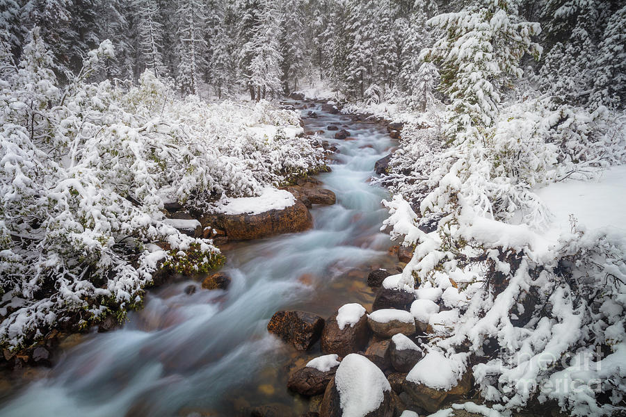 Banff Winter Creek Photograph by Inge Johnsson