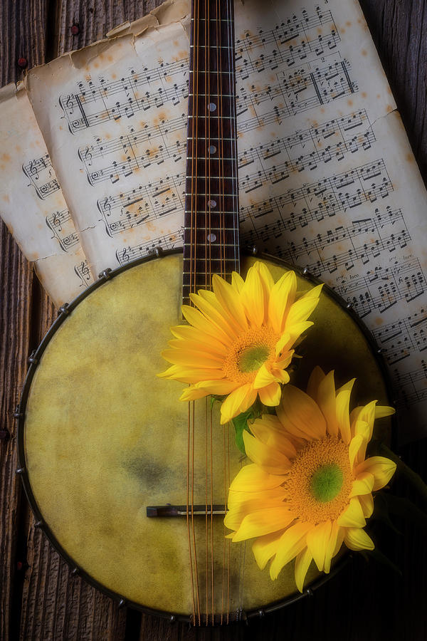 Banjo And Two Sunflowers Photograph by Garry Gay
