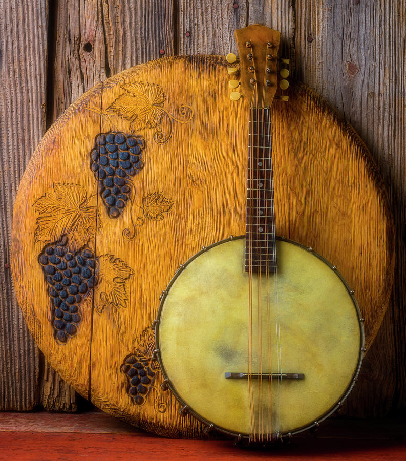 Banjo And Wine Barrel lid Photograph by Garry Gay