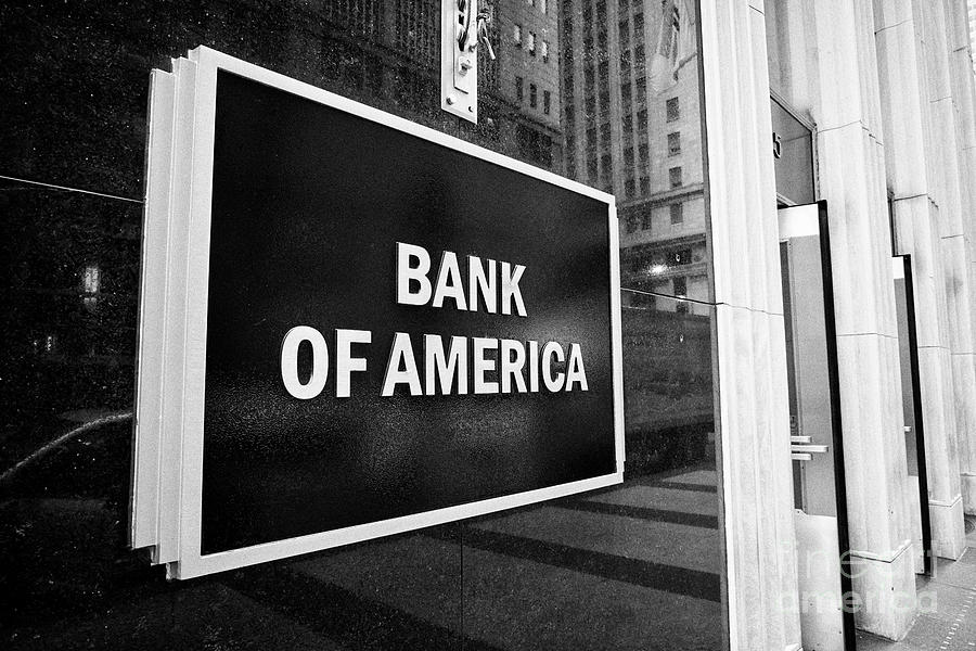 bank of america roselle il