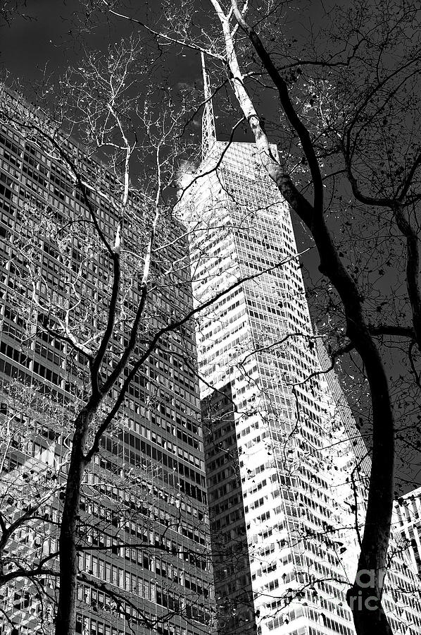 Bank of America Tower Dimensions in New York City Photograph by John Rizzuto