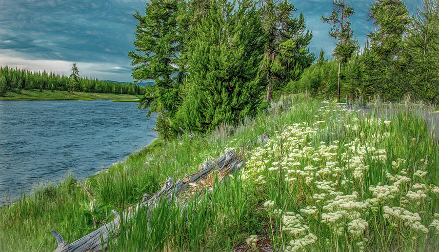 Bank of the Mighty Yellowstone River Photograph by Marcy Wielfaert
