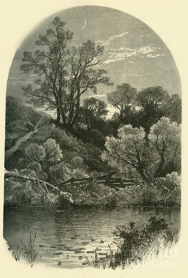 Banks Of The Housatonic Drawing by Print Collector