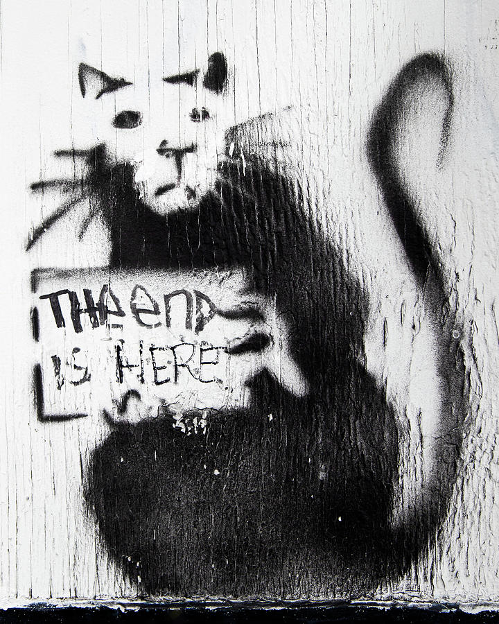Banksy Rat The End Is Here Photograph by Gigi Ebert