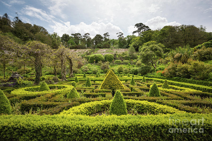 Bantry House and Garden-2 Photograph by Eva Lechner