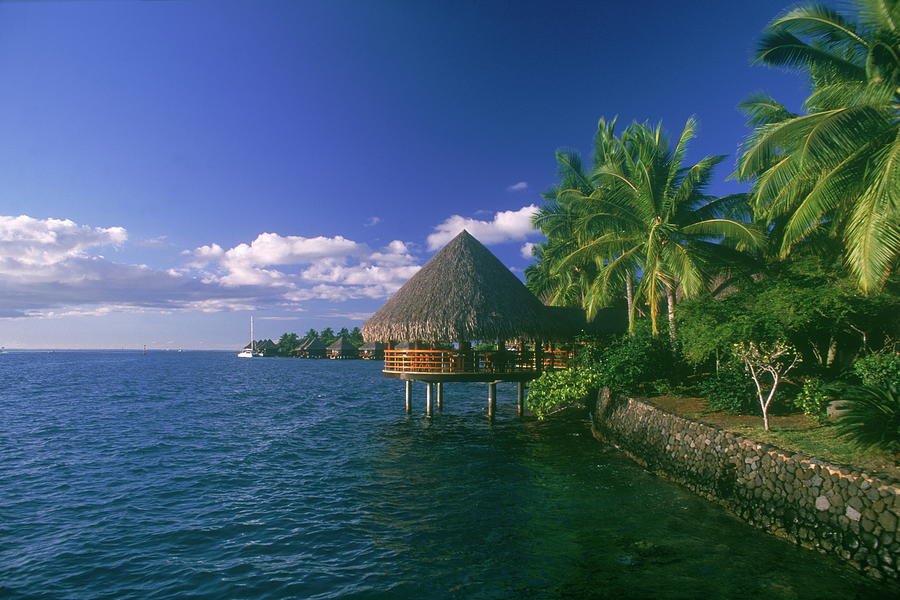 Bar By The Beach, Tahiti Photograph by Ion/amanaimagesrf