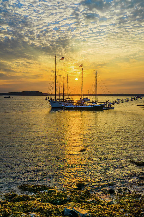 Bar Harbor Sunrise Photograph by DiGiovanni Photography
