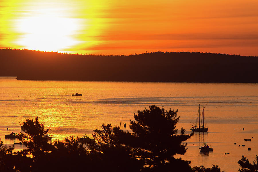 Bar Harbor Sunrise Photograph by Stefan Mazzola