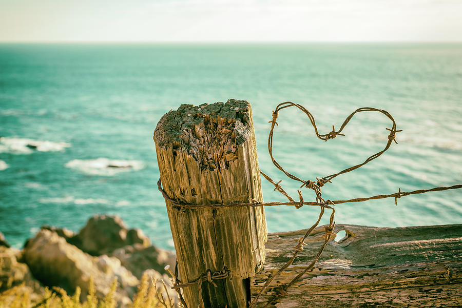 Nature Photograph - Barb Wire Love By The Sea 1 by Joseph S Giacalone