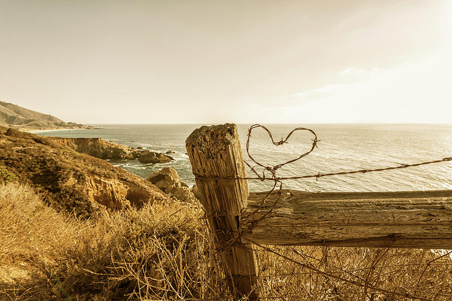Nature Photograph - Barb Wire Love By The Sea 2 by Joseph S Giacalone