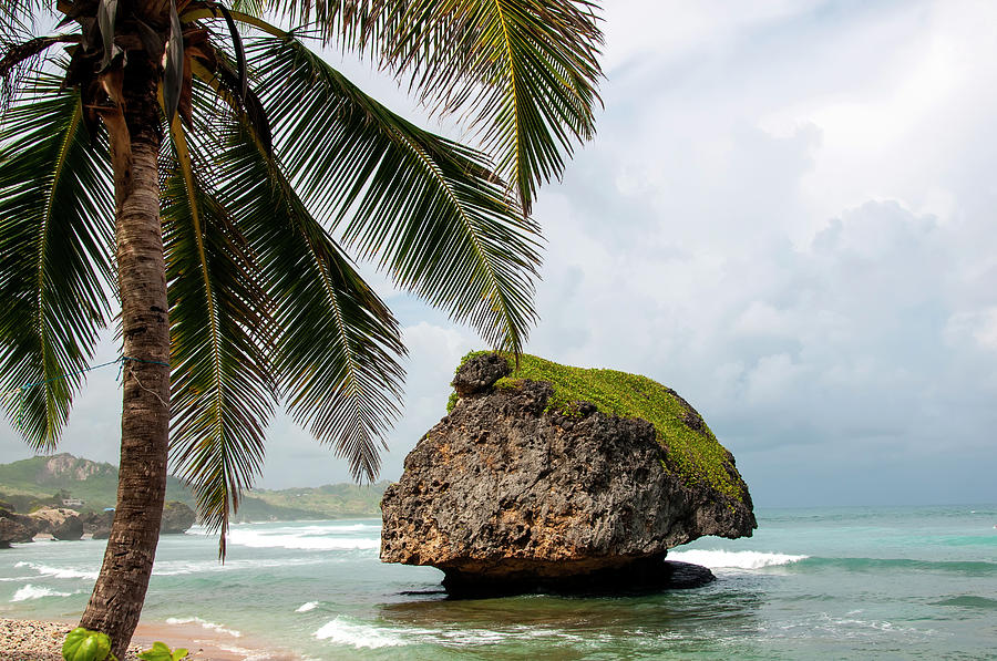 Barbados Bathsheba Beach Rock Photograph by M Timothy O'keefe | Fine ...