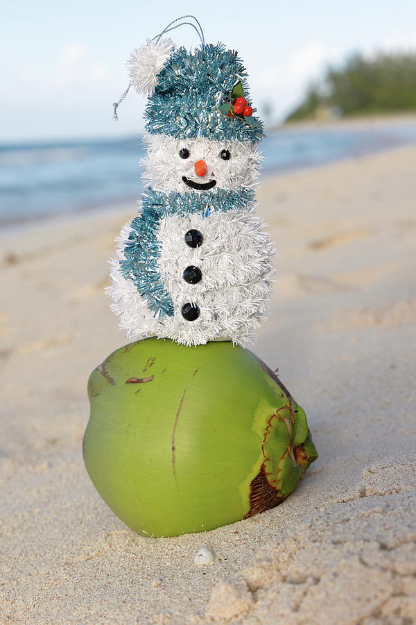 Barbados, Snowman On Top Of A Coconut At The Beach Digital Art by ...