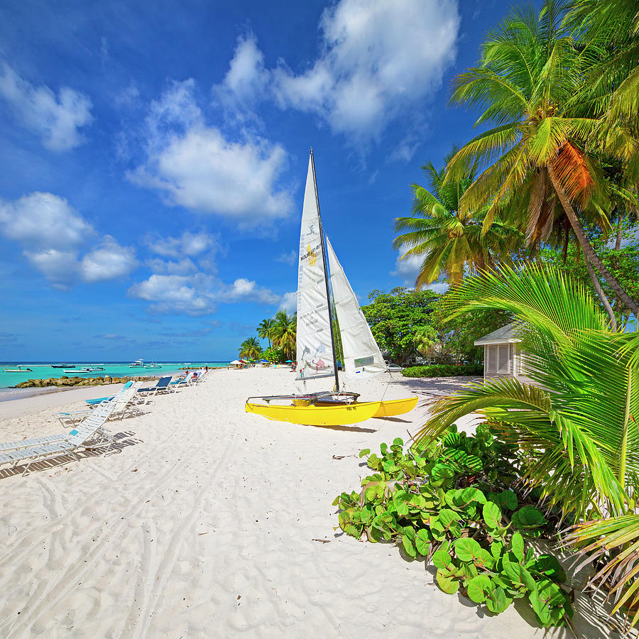 Barbados, West Indies, Sandy Beach Digital Art by Pietro Canali