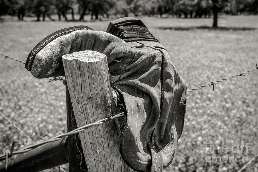 Barbed Wire Boot Photograph by Paul Quinn
