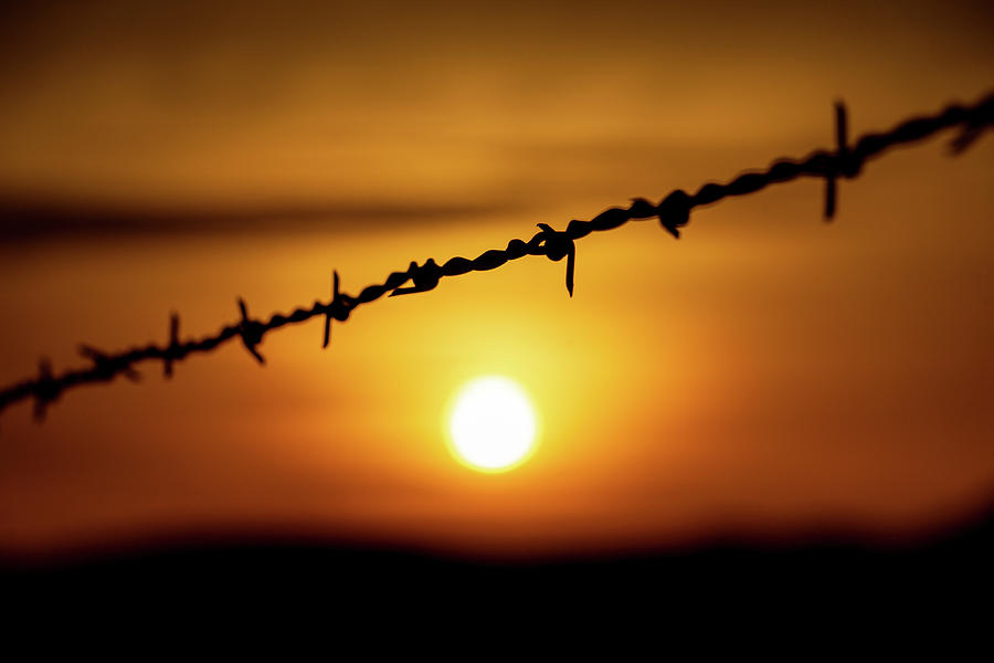 Barbed Wire Fence at Sunrise Photograph by Daniel Woodrum
