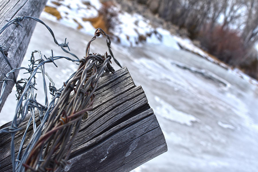 Barbwire Cold by Jason Bohannon Barbwire Cold by Jason Bohannon
