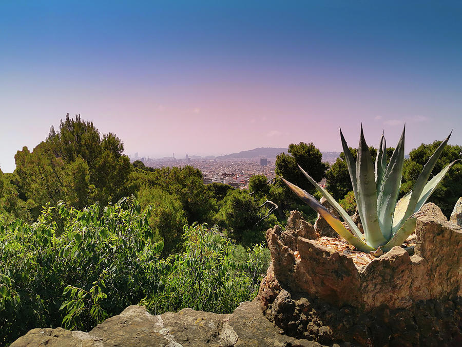 Barcelona View From Park Guell by Art Spectrum Barcelona View From Park Guell by Art Spectrum