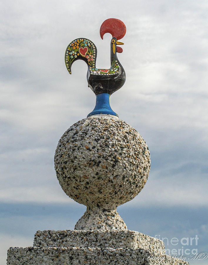 Barcelos rooster Photograph by Barry Bohn