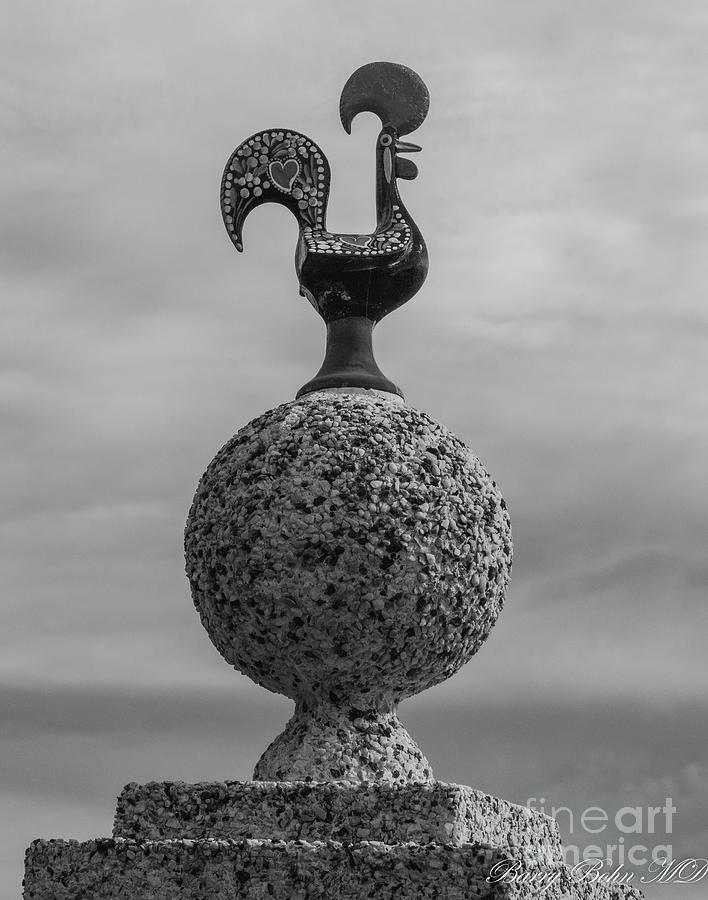 Barcelos rooster BW Photograph by Barry Bohn