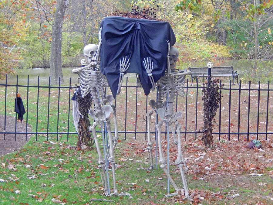Bare Bones Burial Digital Art by Ann Johndro-Collins