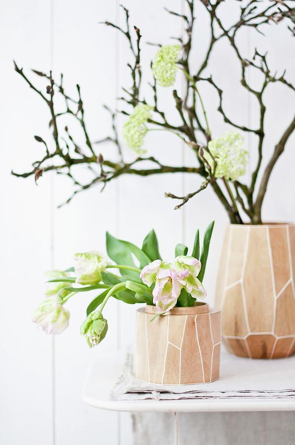 Bare Magnolia Branch, Viburnum Flowers And Parrot Tulips In Vases Made From Mango Wood Photograph by Cornelia Weber