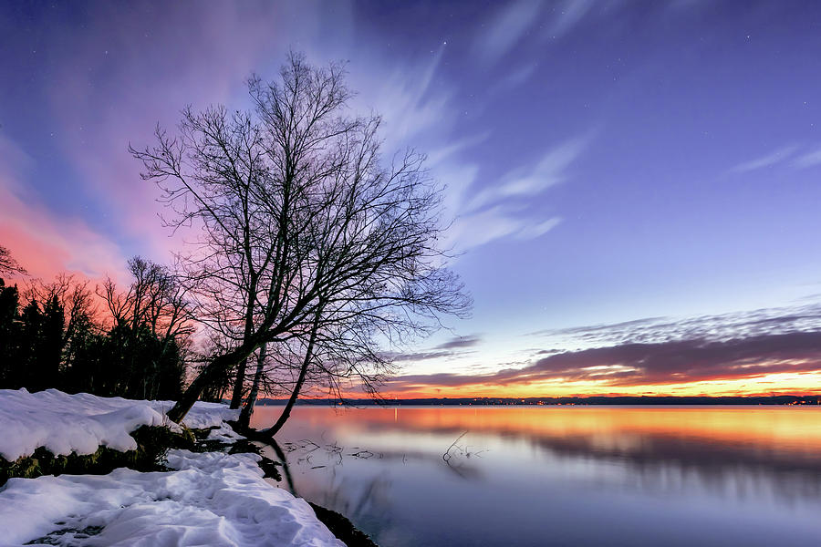 Bare Tree On A Winter Morning At Sunrise On Lake Starnberg, Tutzing, Bavaria, Germany Photograph by Ulrike Eisenmann
