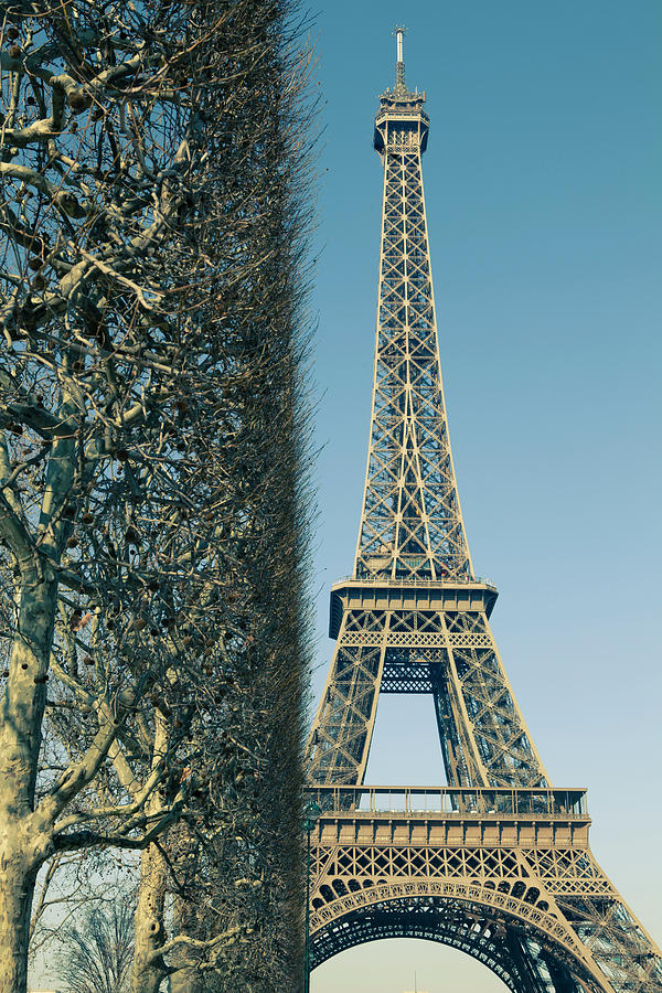 Bare Trees And Eiffel Tower Photograph by Cultura Exclusive/tim E White