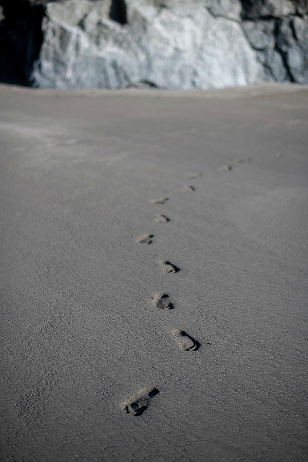 Barefoot Footprints Approaching On A Black Sand Beach Photograph by ...