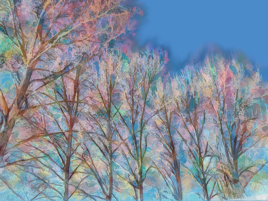 BareTrees, Early Spring Digital Art by Robert Bissett