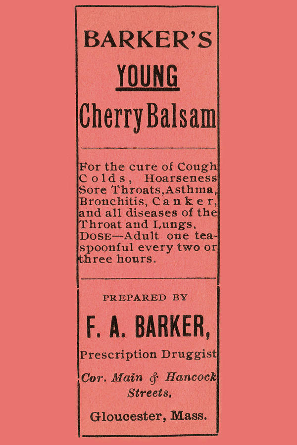 Potions Painting - Barkers Young Cherry Balsam by Unknown
