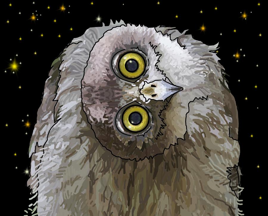 Barking Owl At Night 3 Drawing by Joan Stratton