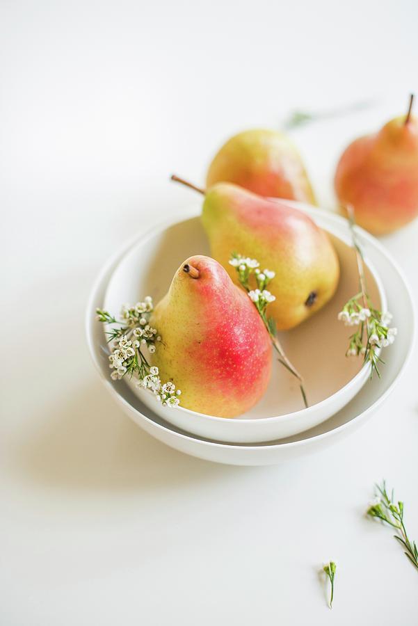 Barlett Pears And White Flowers In A Bowl Photograph by Au Petit Gout Photography Llc