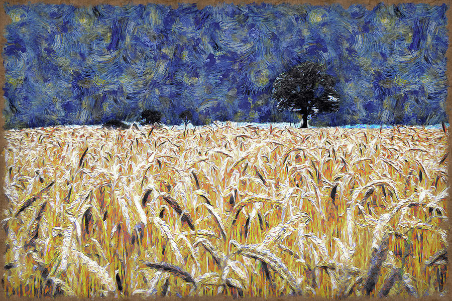 Barley Field Digital Art by Ronald Bolokofsky
