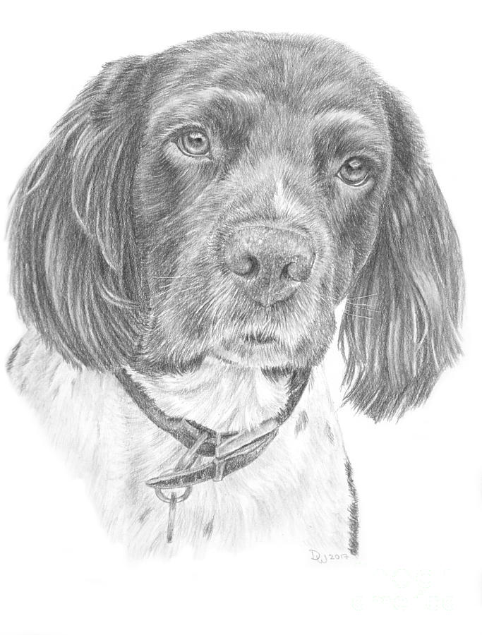 Barley by Pencil Paws Barley by Pencil Paws