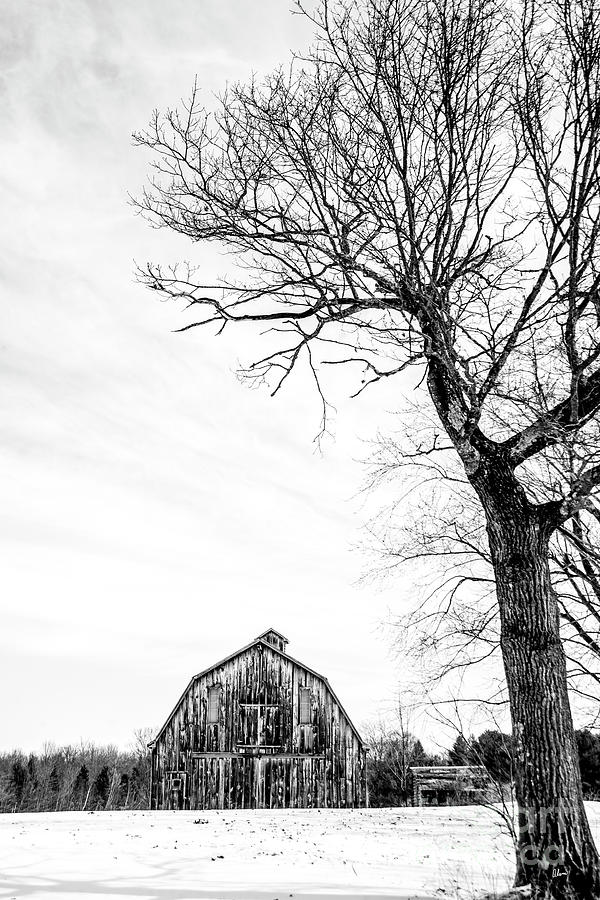 Barn Photograph by Alana Ranney