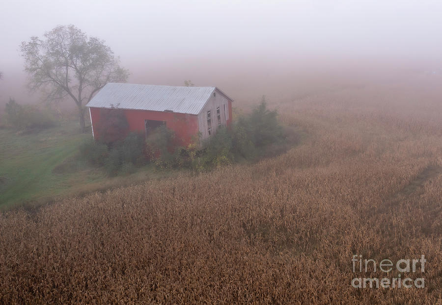 Barn And Corn Field In Foggy Weather Photograph by Science Photo Library Barn And Corn Field In Foggy Weather Photograph by Science Photo Library
