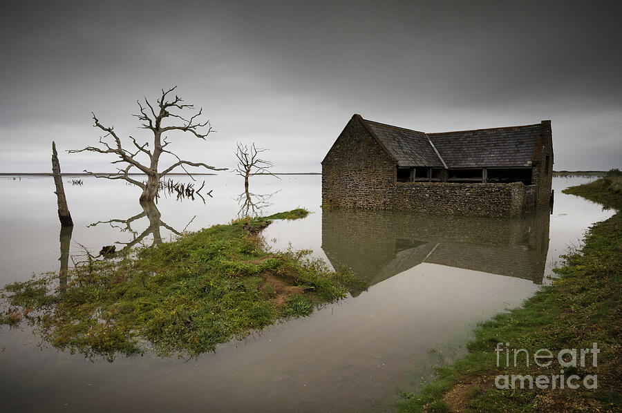 Barn And Dead Trees In Flooded Farmland Photograph by Jeremy Walker/science Photo Library Barn And Dead Trees In Flooded Farmland Photograph by Jeremy Walker/science Photo Library