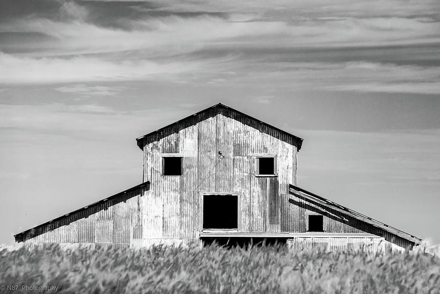 Barn and Wheat Photograph by Hillis Creative