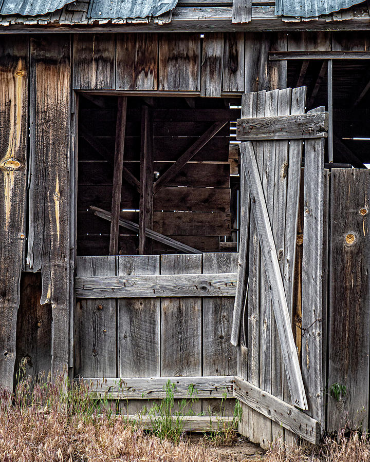 Barn Door 2 Photograph by Theresa Peterson - Fine Art America