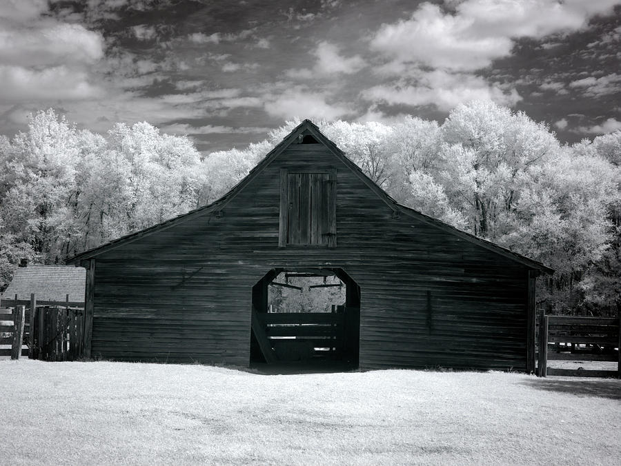 Barn, Dothan, Alabama Painting by Carol Highsmith