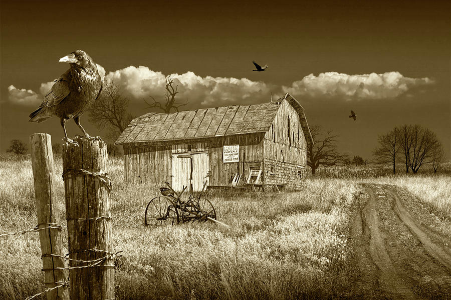 Barn for Sale with Black Crows in Sepia Tone Photograph by Randall Nyhof