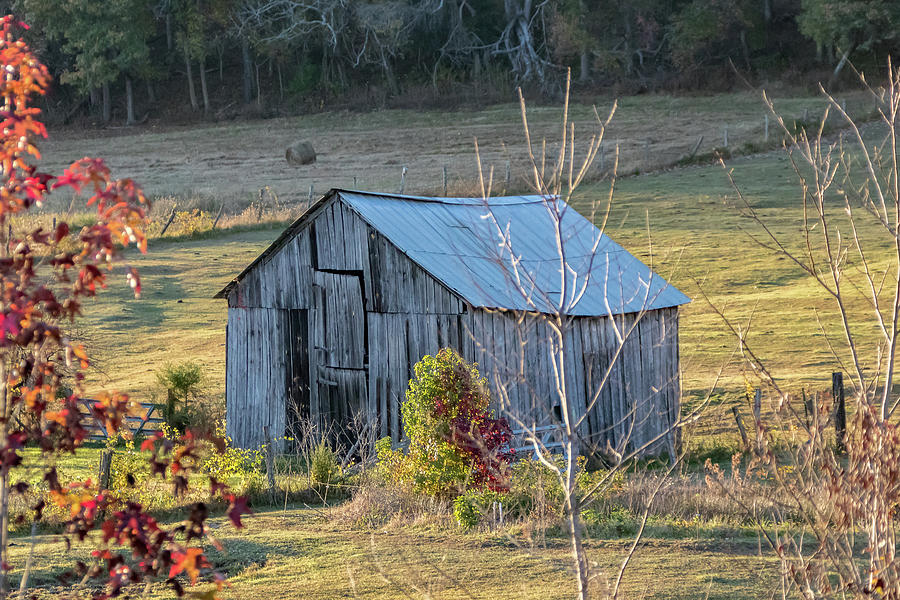 Barn in a meadow with Autumn leaves in the forground Photograph by ...